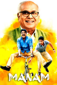 Manam (2014) Dual Audio [Hindi ORG & Telugu] BluRay 480p, 720p & 1080p | GDRive