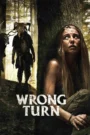 Wrong Turn (2021) Dual Audio [Hindi ORG & ENG] BluRay 480p, 720p & 1080p | GDRive