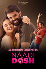 Naadi Dosh (2022) Dual Audio [Hindi ORG & Gujarati] WEB-DL 480p, 720p & 1080p | GDRive