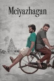 Meiyazhagan (2024) Dual Audio [Hindi-Tamil] NetFlix WEB-DL 480p, 720p & 1080p | GDFilx | ESub