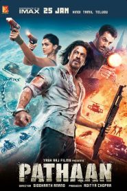 Pathaan (2023) Hindi WEB-DL 480p, 720p & 1080p | GDFilx