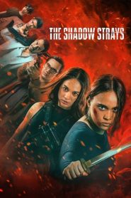 The Shadow Strays (2024) Dual Audio [Hindi-English] NetFlix WEB-DL 480p, 720p & 1080p | GDFilx | ESub