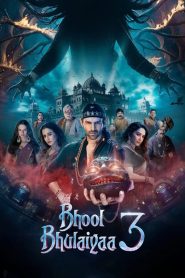 Bhool Bhulaiyaa 3 (2024) Hindi HDRip 480p, 720p & 1080p | GDRive