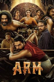 A.R.M (2024) Dual Audio [Hindi-Malayalam] WEB-DL 480p, 720p & 1080p | GDRive | ESub