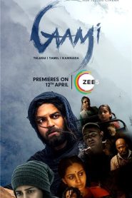 Gaami (2024) Dual Audio [Hindi-Telugu] Zee5 480p, 720p & 1080p | GDRive | ESub