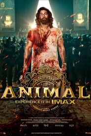 Animal (2023) Hindi WEB-DL 480p, 720p & 1080p | GDRive