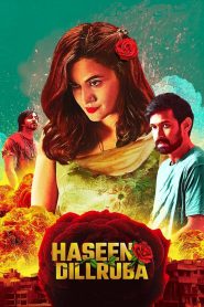 Haseen Dillruba (2021) Hindi WEB-DL 480p, 720p & 1080p | GDRive