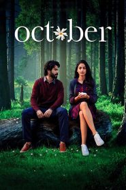 October (2018) Hindi ORG WEB-DL 480p, 720p & 1080p | GDRive