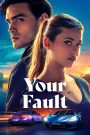 Your Fault (2024) Dual Audio [Hindi ORG & ENG] WEB-DL 480p, 720p & 1080p | GDRive