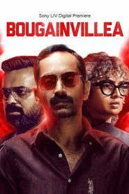 Bougainvillea (2024) Dual Audio [Hindi ORG & Malayalam] WEB-DL 480p, 720p & 1080p | GDRive