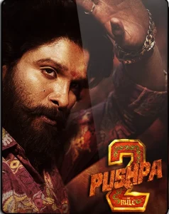 Pushpa 2 – The Rule (2024) Dual Audio [Hindi ORG] WEB-DL 480p, 720p & 1080p | GDRive