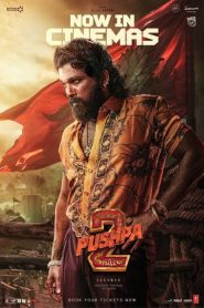 Pushpa 2 – The Rule (2024) Dual Audio [Hindi ORG] WEB-DL 480p, 720p & 1080p | GDRive