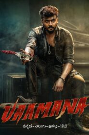 Vaamana (2025) Dual Audio [Hindi ORG & Kannada] WEB-DL 480p, 720p & 1080p | GDRive