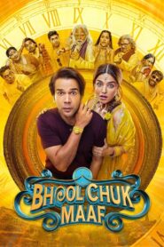 Bhool Chuk Maaf (2025) Hindi PRE-HD 480p, 720p & 1080p | GDRive