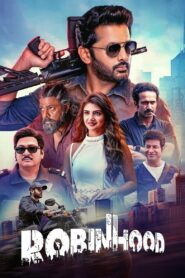 Robinhood (2025) Telugu WEB-DL 480p, 720p & 1080p | GDRive | ESub