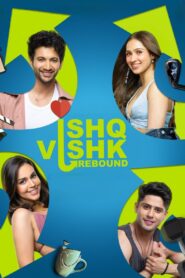 Ishq Vishk Rebound (2024) Hindi WEB-DL 480p, 720p & 1080p | GDRive