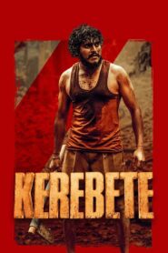 Kerebete (2024) Dual Audio [Hindi ORG & Kannada] WEB-DL 480p, 720p & 1080p | GDRive