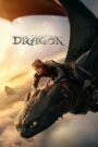 How to Train Your Dragon (2025) Dual Audio [Hindi ORG & ENG] WEB-DL 480p, 720p & 1080p | GDRive