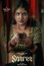 Saaree (2025) Dual Audio [Hindi ORG & Telugu] WEB-DL 480p, 720p & 1080p | GDRive