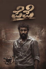 Pepe (2024) Dual Audio [Hindi ORG & Kannada] WEB-DL 480p, 720p & 1080p | GDRive