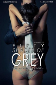 Fifty Shades of Grey (2015) Dual Audio [Hindi ORG & ENG] BluRay 480p, 720p & 1080p | GDRive