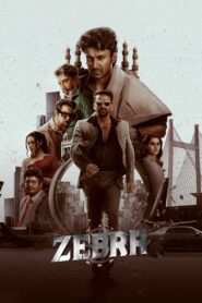 Zebra (2024) Dual Audio [Hindi ORG & Telugu] WEB-DL 480p, 720p & 1080p | GDRive