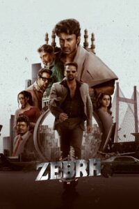 Zebra (2024) Dual Audio [Hindi ORG & Telugu] WEB-DL 480p, 720p & 1080p | GDRive