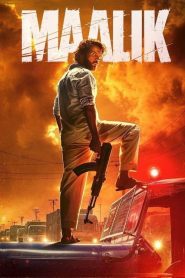 Maalik (2025) Hindi [Best Quality Print] HDTS 480p, 720p & 1080p | GDRive