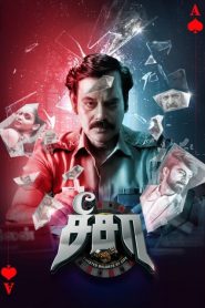 See Saw (2025) Dual Audio [Hindi ORG & Tamil] WEB-DL 480p, 720p & 1080p | GDRive