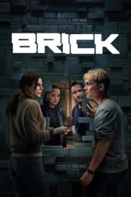 Brick (2025) Dual Audio [Hindi ORG & ENG] WEB-DL 480p, 720p & 1080p | GDRive