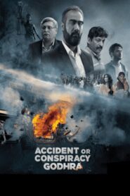 Accident or Conspiracy: Godhra (2024) Hindi WEB-DL 480p, 720p & 1080p | GDRive