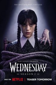 Wednesday : Season 2 [Part 1-2] Dual Audio [Hindi ORG & ENG] NF WEB-DL 480p, 720p & 1080p | [Complete]