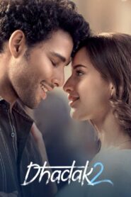 Dhadak 2 (2025) Hindi [Best Quality Print] HDTS 480p, 720p & 1080p | GDRive