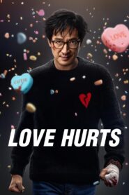 Love Hurts (2025) Dual Audio [Hindi ORG & ENG] WEB-DL 480p, 720p & 1080p | GDRive
