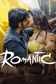 Romantic (2021) Dual Audio [Hindi ORG & Telugu] WEB-DL 480p, 720p & 1080p | GDRive