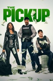 The Pickup (2025) Dual Audio [Hindi ORG & ENG] WEB-DL 480p, 720p & 1080p | GDRive