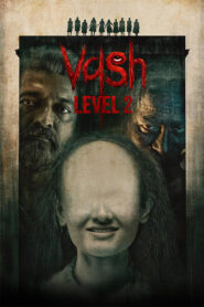 Vash Level 2 (2025) Hindi PRE-HD 480p, 720p & 1080p | GDRive