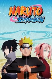 Naruto: Shippuden : Dual/Multi Audio [Hindi ORG, Jap & ENG] Season 1-11 WEB-DL 720p & 1080p HEVC | [Epi 1-232 Added]