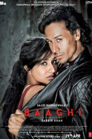 Baaghi (2016) Hindi BluRay 480p, 720p & 1080p | GDRive
