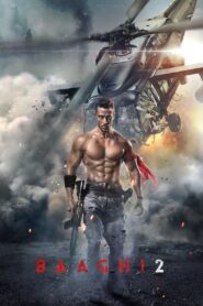 Baaghi 2 (2018) Hindi BluRay 480p, 720p & 1080p | GDRive