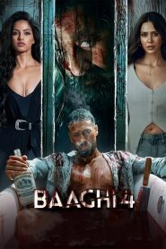 Baaghi 4 (2025) Hindi PRE-HD 480p, 720p & 1080p | GDRive