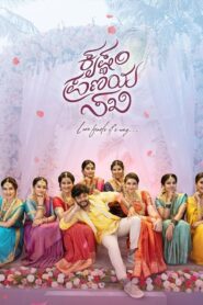 Krishnam Pranaya Sakhi (2024) Dual Audio [Hindi ORG & Kannada] WEB-DL 480p, 720p & 1080p | GDRive