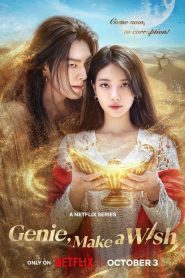 Genie, Make a Wish : Season 1 Dual Audio [Hindi ORG & Korean] WEB-DL 720p HEVC | [Complete]