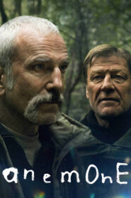 Anemone (2025) Dual Audio [Hindi ORG & ENG] WEB-DL 480p, 720p & 1080p | GDRive