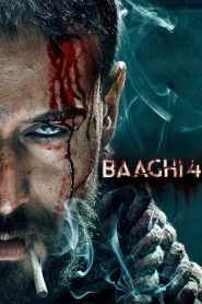Baaghi 4 (2025) Hindi WEB-DL 480p, 720p & 1080p | GDRive