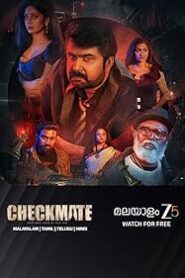 Checkmate (2024) Dual Audio [Hindi ORG & Malayalam] WEB-DL 480p, 720p & 1080p | GDRive