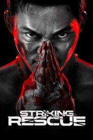 Striking Rescue (2024) Dual Audio [Hindi ORG & Chinese] WEB-DL 480p, 720p & 1080p | GDRive