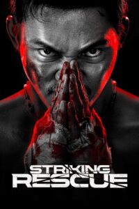 Striking Rescue (2024) Dual Audio [Hindi ORG & Chinese] WEB-DL 480p, 720p & 1080p | GDRive