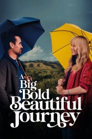 A Big Bold Beautiful Journey (2025) Dual Audio [Hindi ORG & ENG] WEB-DL 480p, 720p & 1080p | GDRive