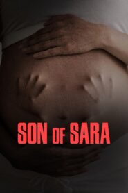 Son of Sara: Volume 1 (2025) Dual Audio [Hindi ORG & ENG] WEB-DL 480p, 720p & 1080p | GDRive